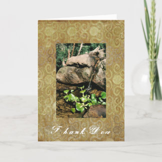 Woodland Waterfall Greeting Card