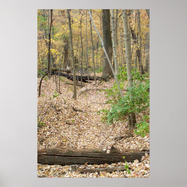 Woodland Window Poster (Front)