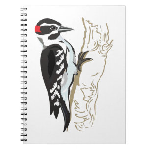 Woodpecker illustration notebook