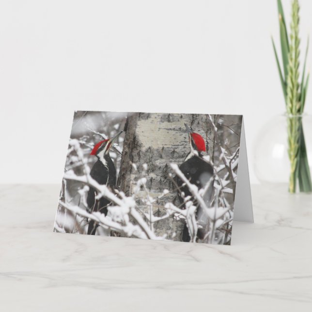 Woodpecker In Winter Card (Front)