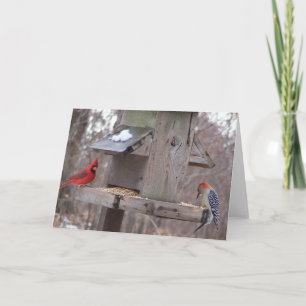 Woodpecker&Male Cardinal Card