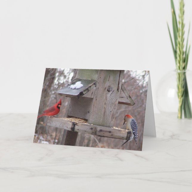 Woodpecker&Male Cardinal Card (Front)