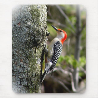 Woodpecker Mouse Pad