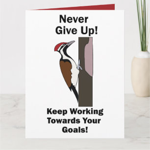 Woodpecker Never Give Up Inspirational Card
