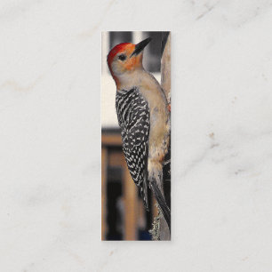Woodpecker Portrait Mini Business Card