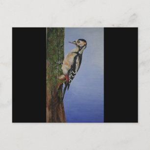 Woodpecker Products Postcard