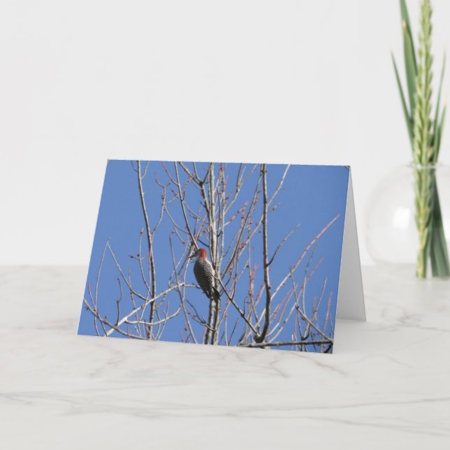 Woodpecker Up In Tree Card (Front)
