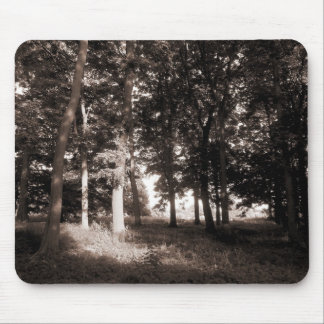 Woods Bute Park, Cardiff II Mouse Pad