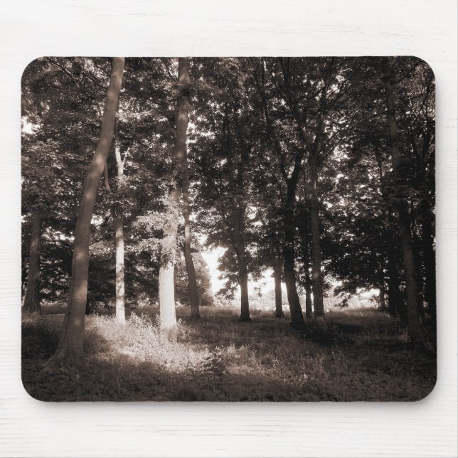 Woods Bute Park, Cardiff II Mouse Pad (Front)