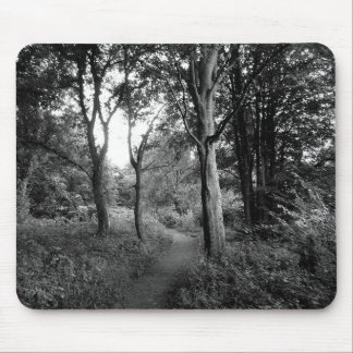 Woods Bute Park, Cardiff Mouse Pad