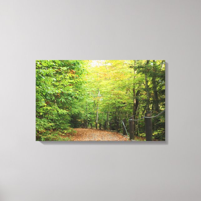 Woods Canvas Wraps Print (Front)