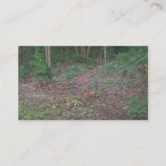 Woods Forest Trees Nature Green Business Cards