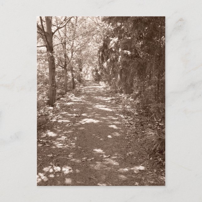 Woods Path--Sepia Postcard (Front)