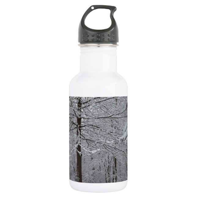 Woods View 532 Ml Water Bottle (Front)