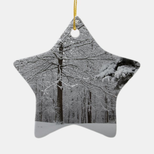 Woods View Ceramic Ornament (Front)