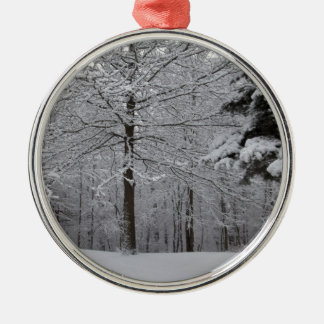 Woods View Metal Ornament
