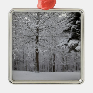 Woods View Metal Ornament