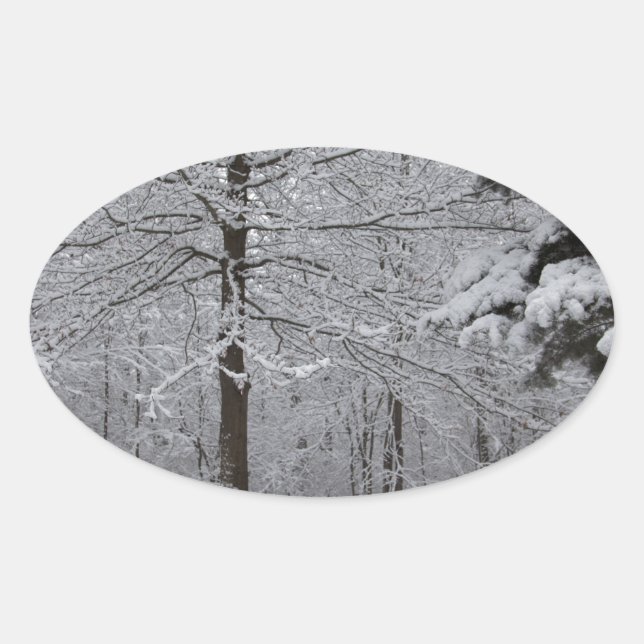 Woods View Oval Sticker (Front)