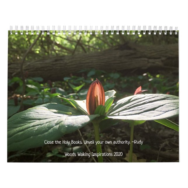 Woods Walking Inspirations 2020 Calendar (Cover)