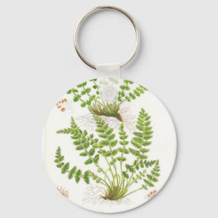 Woodsia Fern Keychain
