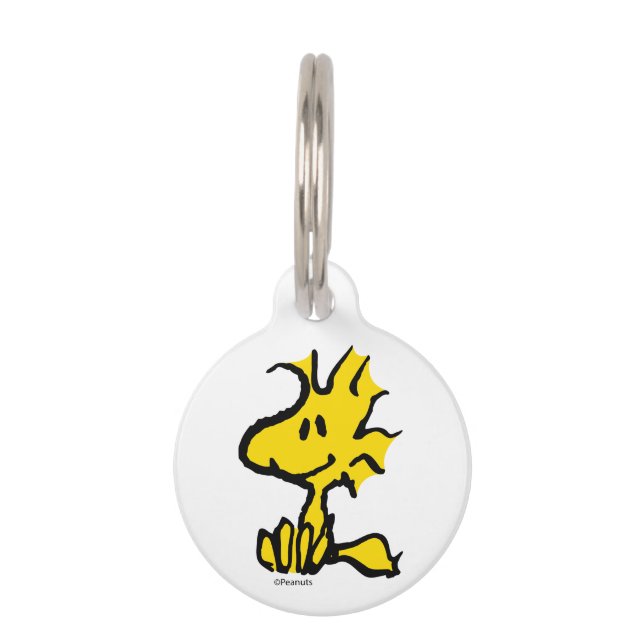 Woodstock Classic Design Pattern Pet Tag (Front)