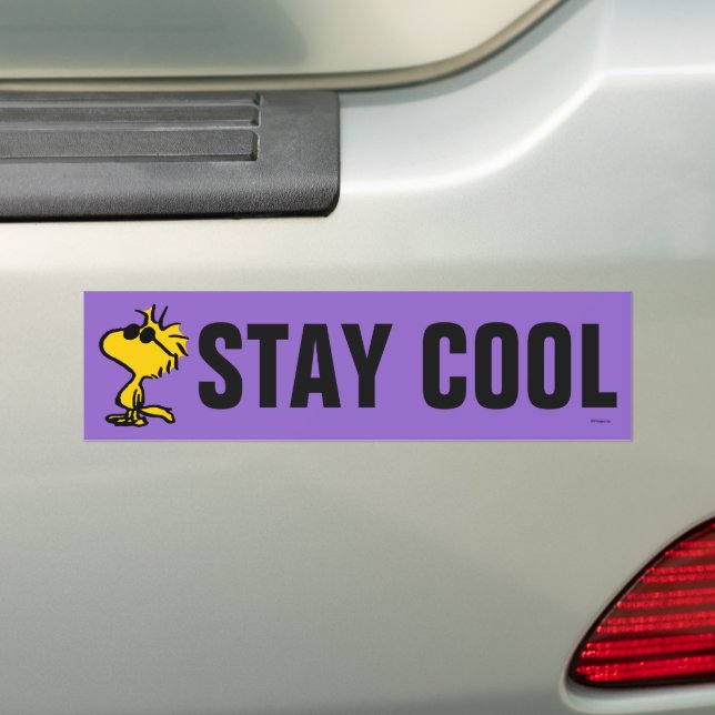 Woodstock Cool Sunglasses Bumper Sticker (On Car)