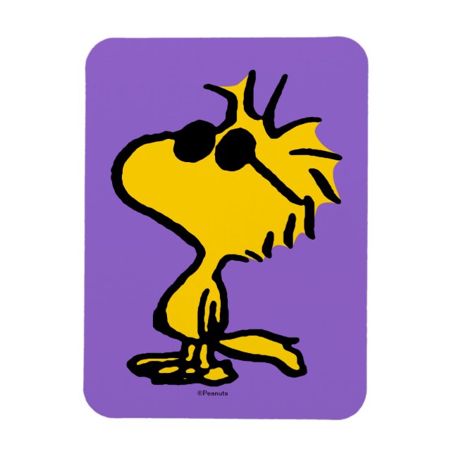 Woodstock Cool Sunglasses Pattern Magnet (Vertical)