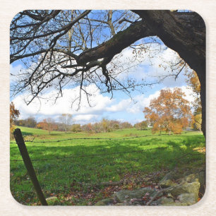 Woodstock Country Landscape Coaster