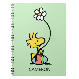 Woodstock Easter Egg Notebook