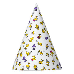 Woodstock Fun Pattern Party Hat