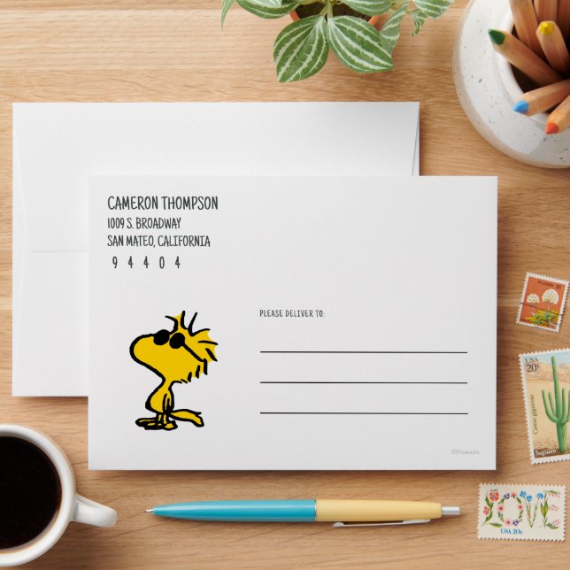 Woodstock In Sunglasses Envelope (Desk)