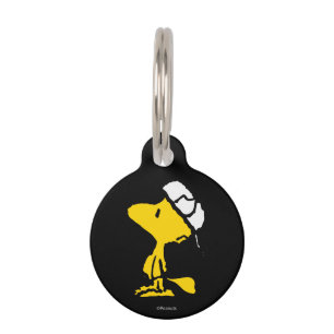 Woodstock Varsity Sports Letter Pattern Pet Tag