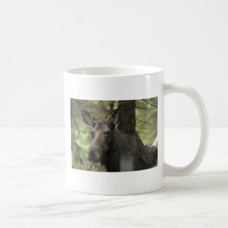 Woodsy moose mug