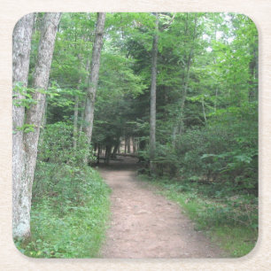 Woodsy Path Party Coaster