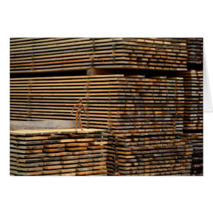 Woody Back To The Roots