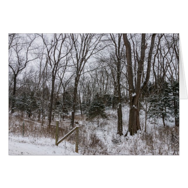 Woody Snow Day (Front Horizontal)