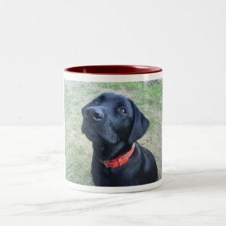 Woof Bark! Two-Tone Coffee Mug