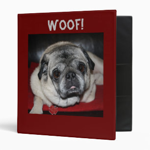 Woof, Carlin Avery Classeur