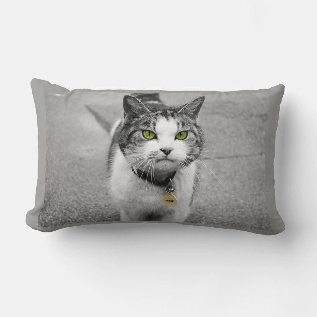 Woof Lumbar Pillow (Front)