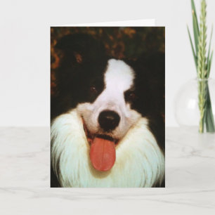 WOOF WOOF HAPPY BIRTHDAY HONEY CARD