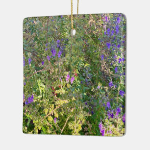 Woolly Bluecurls Ceramic Ornament