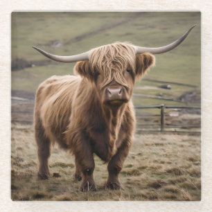 Woolly Brown Highland Cow, Glass Coaster