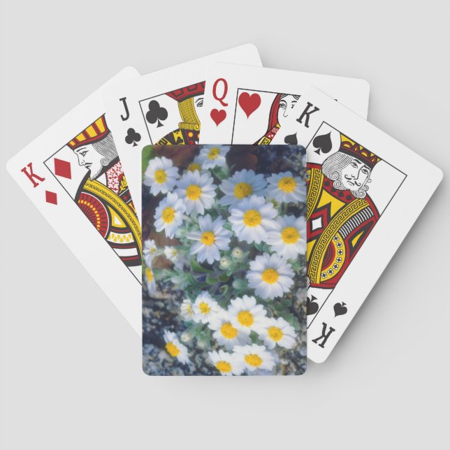 Woolly Daisy Wildflowers Playing Cards (Back)