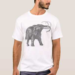 woolly mammoth bwh T-Shirt