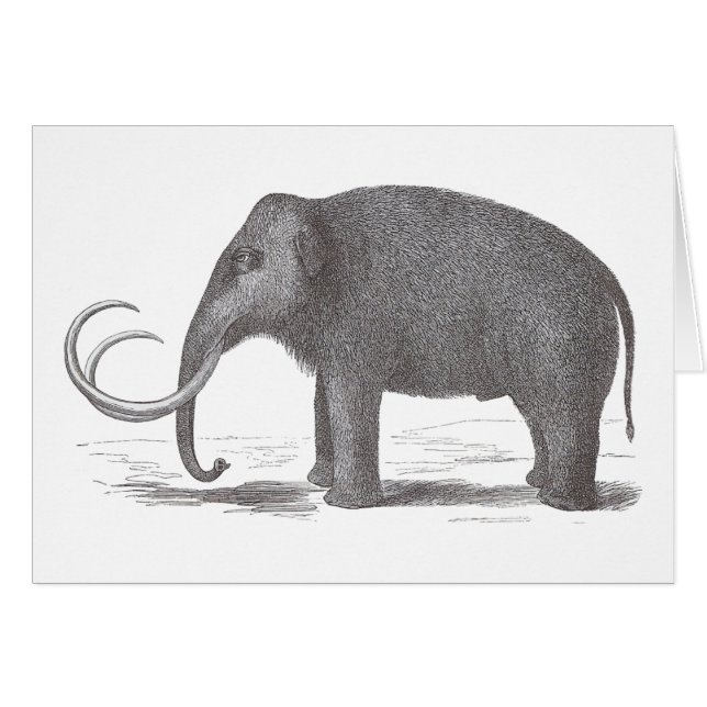 Woolly Mammoth Extinct Mastodon Antique Print (Front Horizontal)