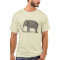 Woolly Mammoth Mastodon Extinct Species