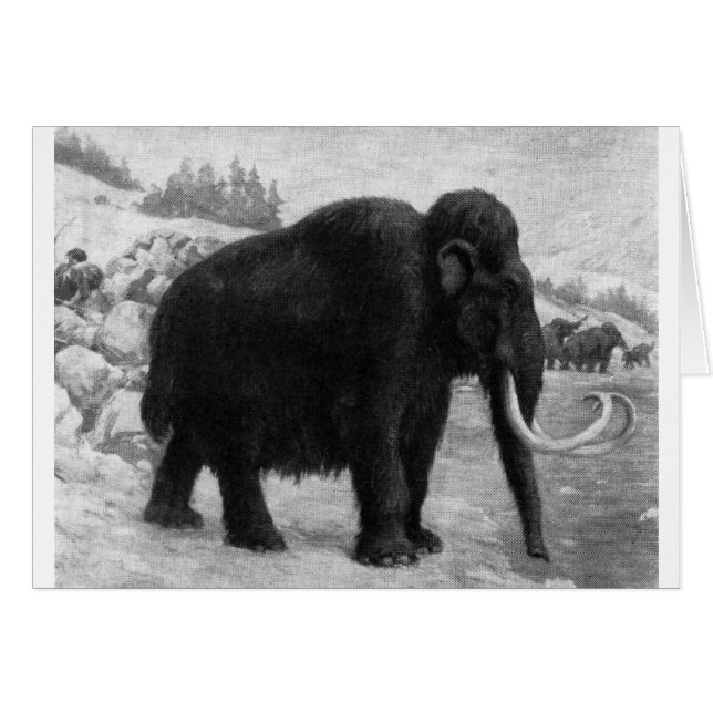 Woolly Mammoth Mod Destiny (Front Horizontal)