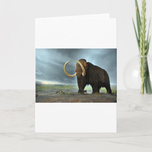 Woolly Mammoth Mod Destiny Card (Front)