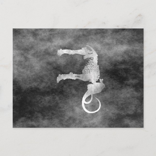 woolly mammoth postcard (Front)