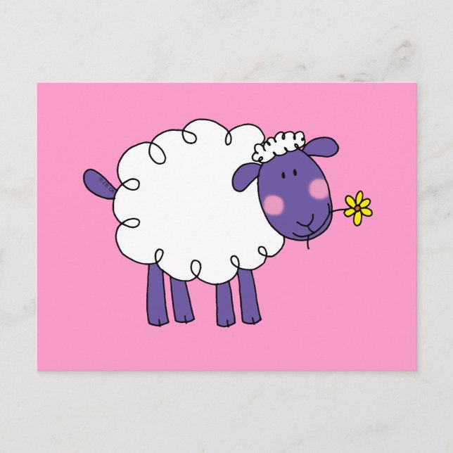 Woolly sheep postcard (Front)
